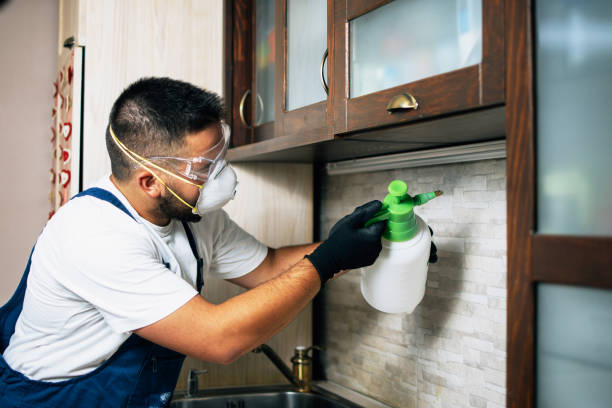 Best Pest Prevention Services  in Miller Place, NY