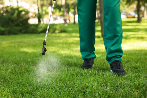 Best Pest Control Near Me in Miller Place, NY