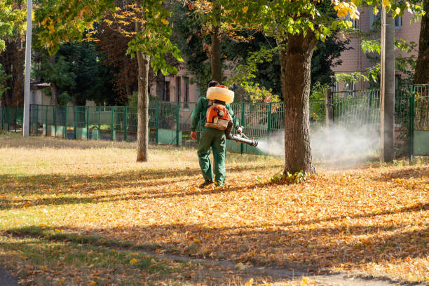 Best Termite Control Services  in Miller Place, NY