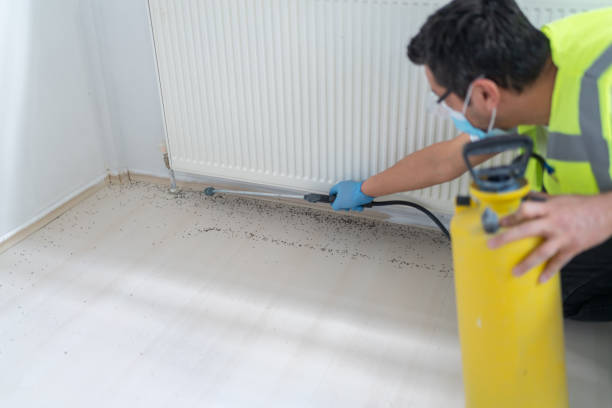 Best Exterminator Services  in Miller Place, NY
