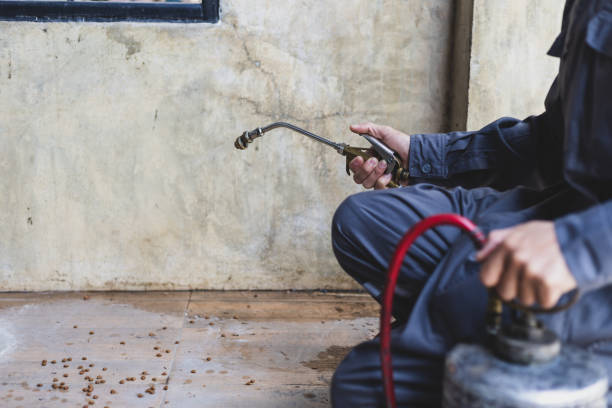 Best Affordable Pest Control Services  in Miller Place, NY